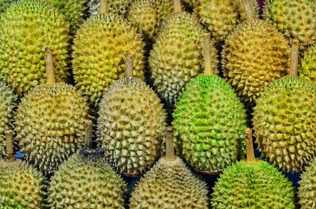 Geliat Ekspor Komoditas RI: Dari Durian Beku ke China hingga Hilirisasi Rumput Laut